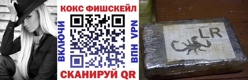 Купить закладки  Сычёвка  Кокаин FishScale 