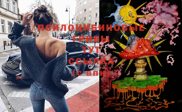 не бодяженный Инсар