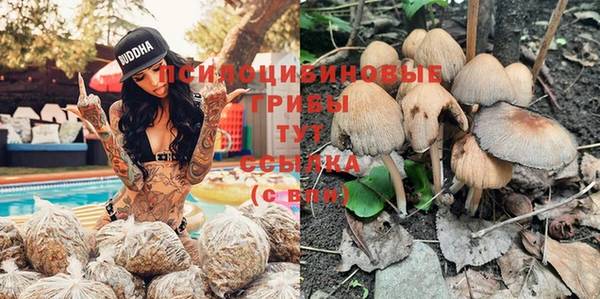 не бодяженный Инсар
