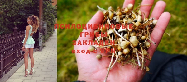 не бодяженный Инсар