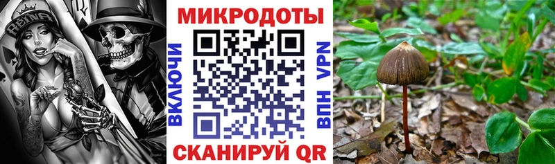Купить  Сычёвка  Псилоцибиновые грибы ЛСД 